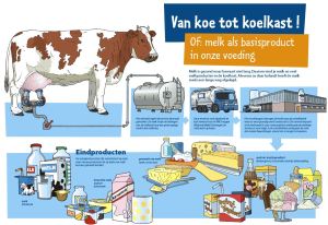 van koe tot koelkast